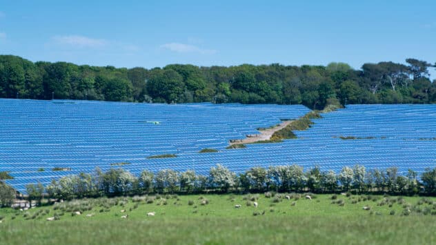 In the Midst of an Energy Crisis, Top UK Ministers Want to Ban Solar Panels on Farmland