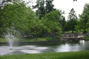 Pond in St Peters City Centre Park