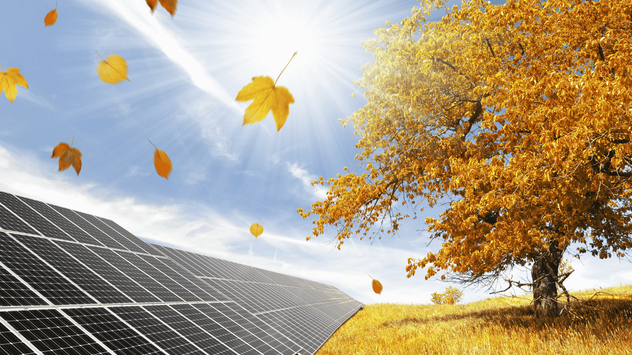 solar panels fall