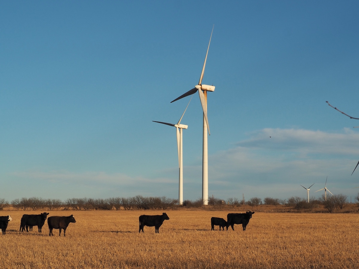 The Longhorn Wind Farm in Amarillo, Texas