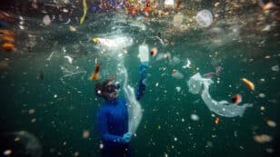 Plastics Increase Acidity of the World’s Oceans, Study Finds