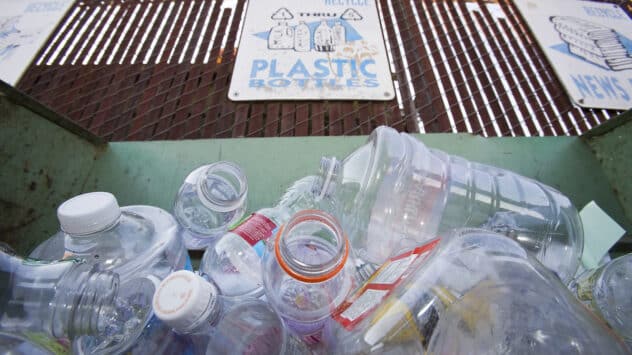 Only 5% of Plastic Waste Generated in U.S. in 2021 Was Recycled, Study Finds