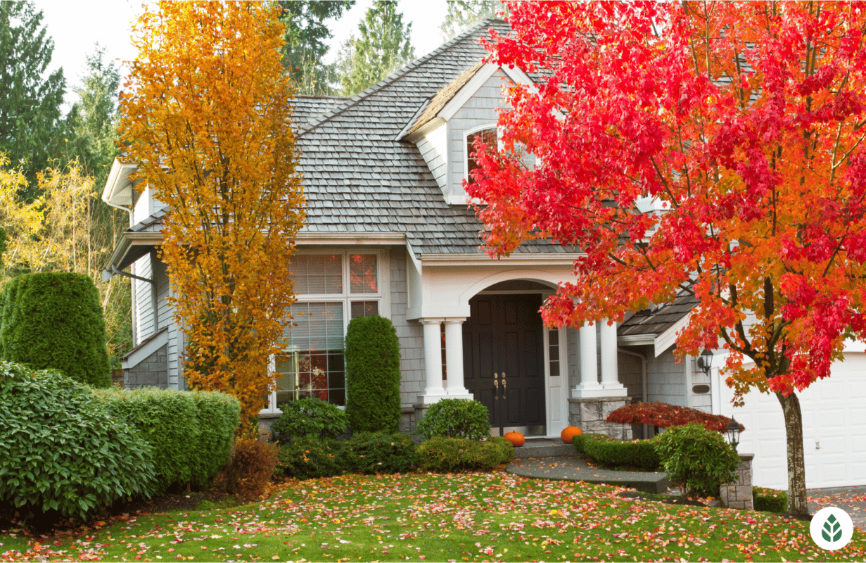 Best Time to Replace Your Roof Is In The Fall - (Surprising Reason Why)