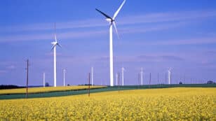 Wind Turbine Orders Fall in EU, Putting Climate Goals at Risk