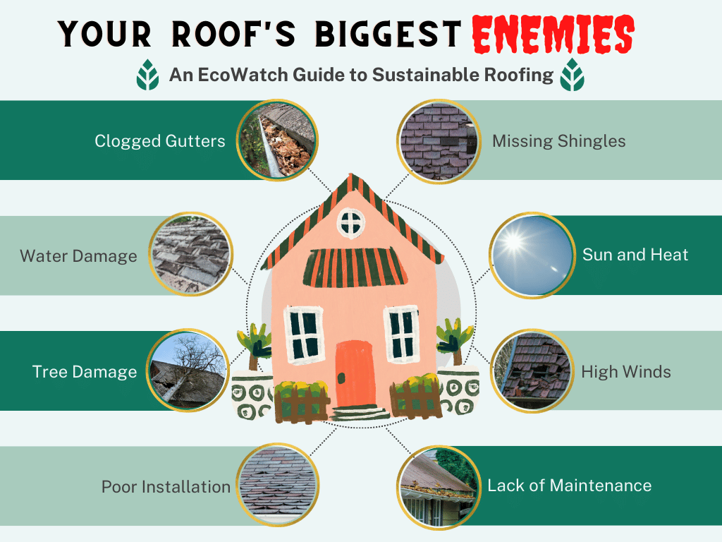 your roof's biggest enemies
