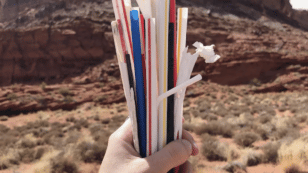 Trash Gathered at National Parks Reveals Need to Speed Plastic Phaseout