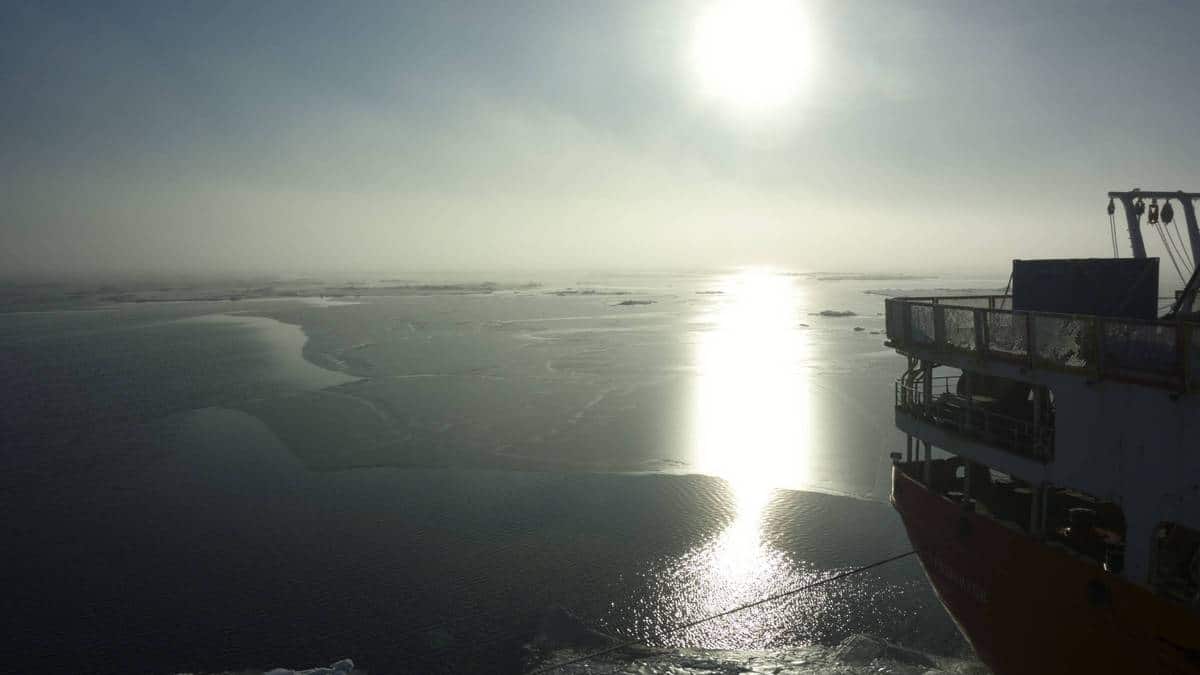 The research vessel Akademik Tryoshnikov exploring the Arctic seas
