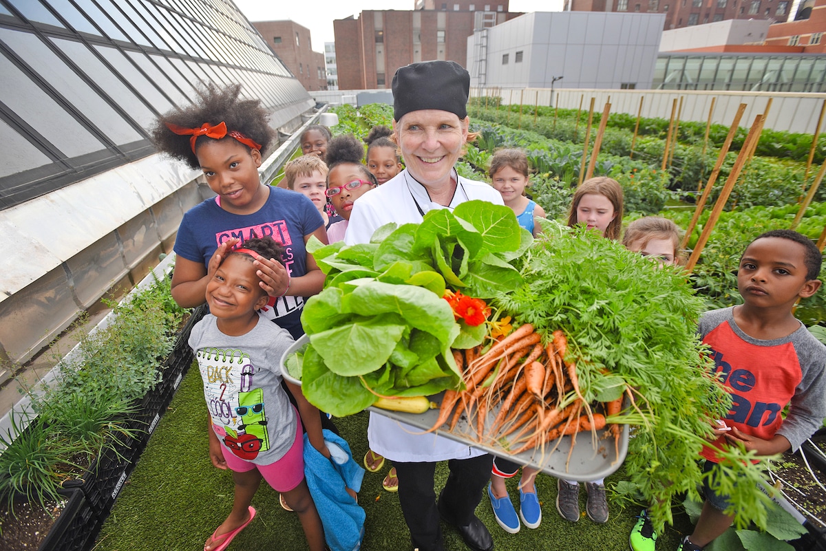 The rooftop garden at the Boston Medical Center