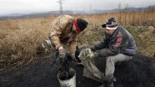 Illegal Backyard Coal Mining Surges in Poland as Energy Anxiety Outweighs Health and Climate