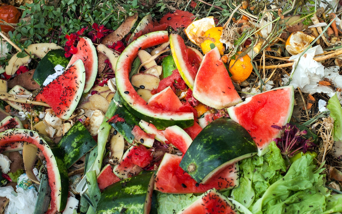 A compost pile with fruit and vegetable scraps