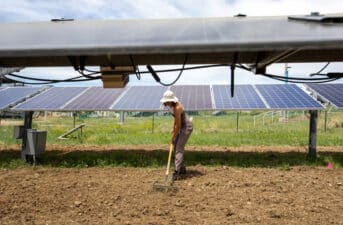 Solar Panels and Crops Can Coexist, But More Research Needed to Maximize Success