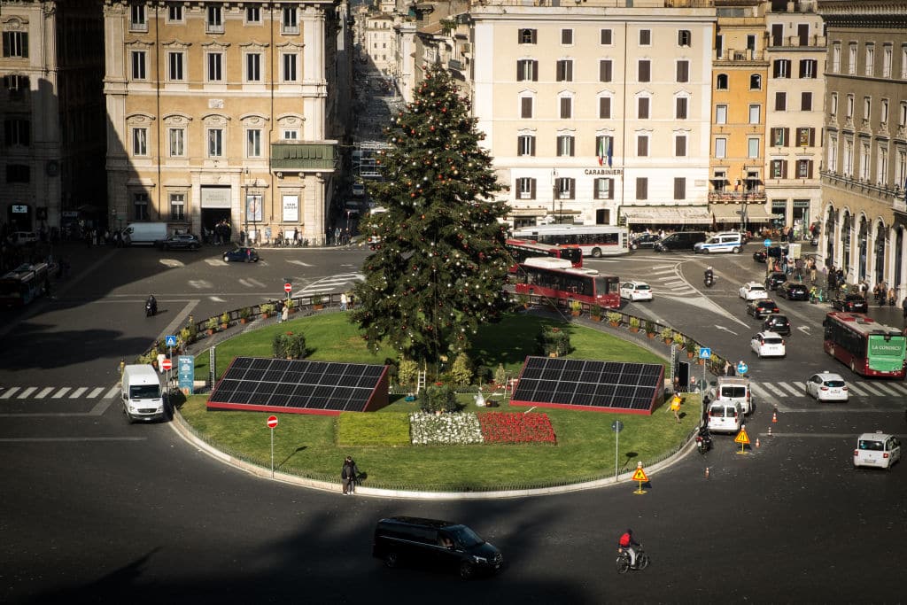 Installation Of The Christmas Tree In Rome