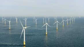 New Study Looks at Impact of Offshore Wind on Coastal Ecosystems