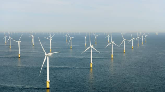 New Study Looks at Impact of Offshore Wind on Coastal Ecosystems