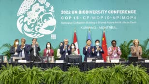 High Stakes Biodiversity Summit Ends With Agreement to Protect 30% of Nature by 2030