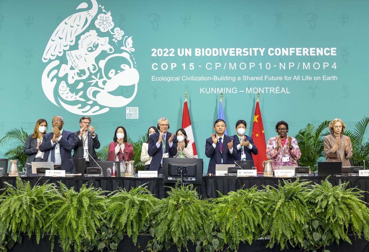 Adoption of the Kunming-Montreal Global Biodiversity Framework at COP15 in Montreal, Canada