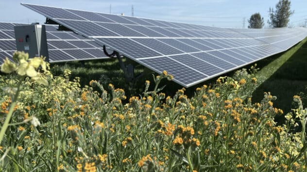 New California Project Uses Solar Panels to Restore Native Prairie, Pollinator Habitat