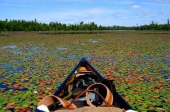 Biden Admin. Protects Minnesota’s Boundary Waters Wilderness From Mining