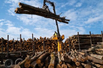 ‘Wood Banks’ Provide Critical Heat as Gas Prices Spike