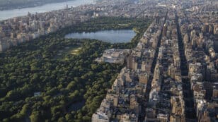 New York City’s Vehicle Emissions Get Absorbed by Its Greenery on Many Summer Days, Study Finds