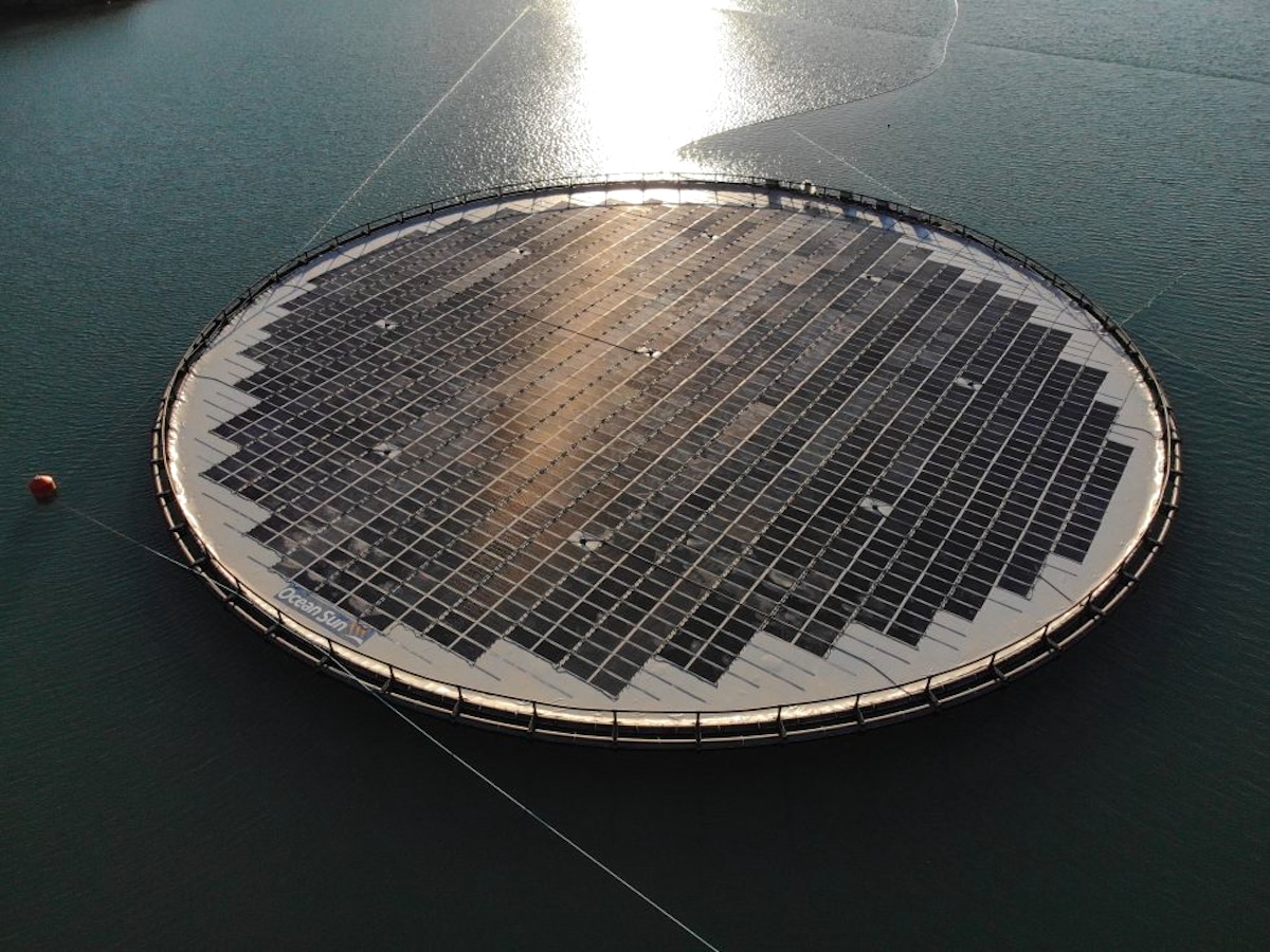 A floating solar module