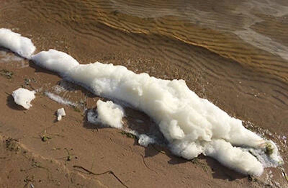 PFAS foam collecting on the shore of Green Bay, Wisconsin