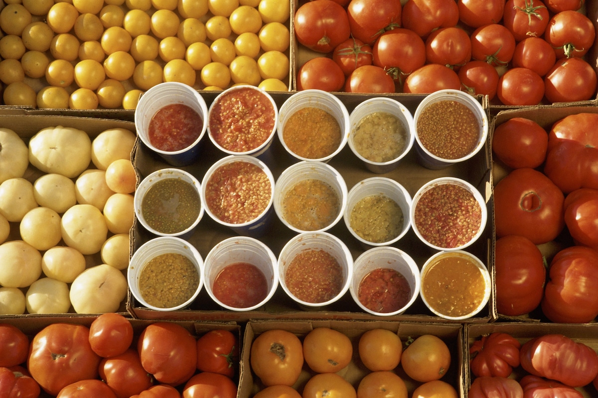Varieties of organically grown heirloom tomatoes and their seeds