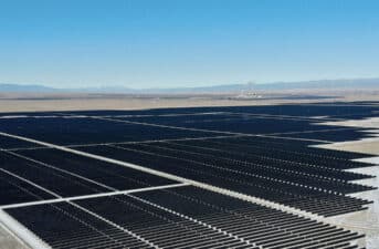 Colorado Solar Farm Triples as a Carbon Sink and Habitat Preservation Project