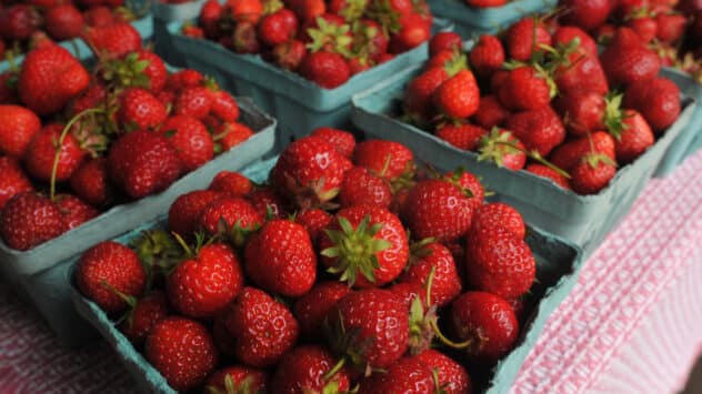 <strong>If Your Strawberries Taste Bland, Pesticides May Be to Blame</strong>
