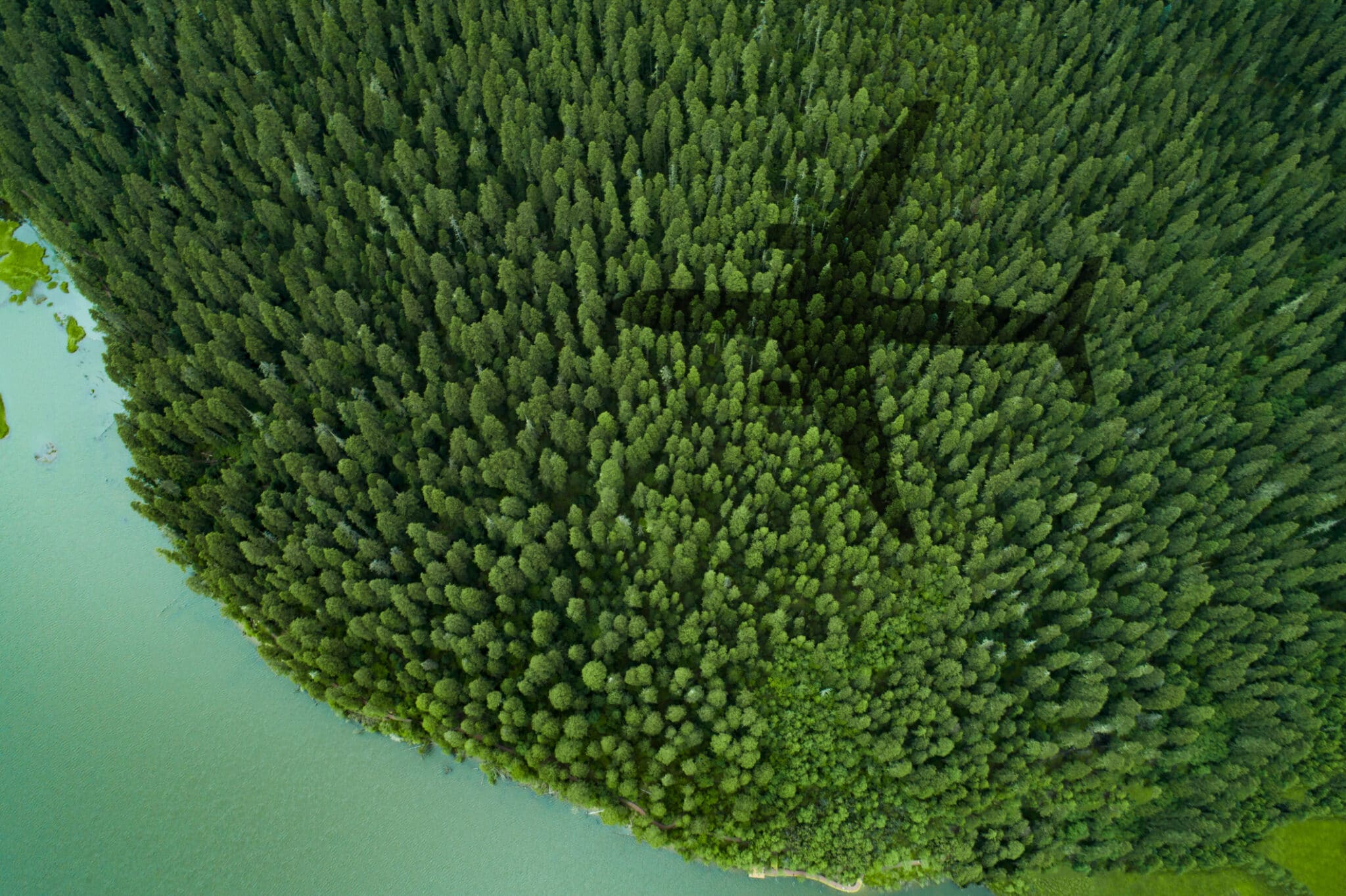 Shadow of airplane over forest and a lake