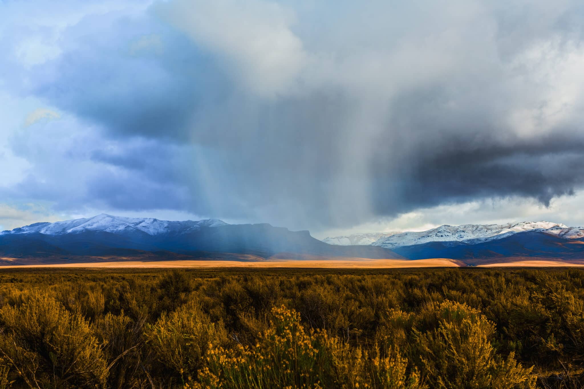 Rain over Nevada