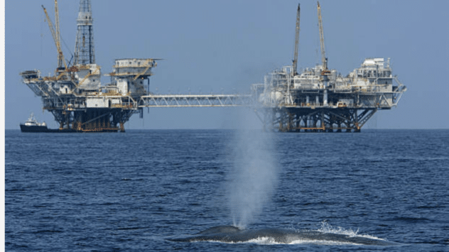 <strong>Environmental Groups Sue to Stop Federal Oil and Gas Auction in Gulf of Mexico</strong>