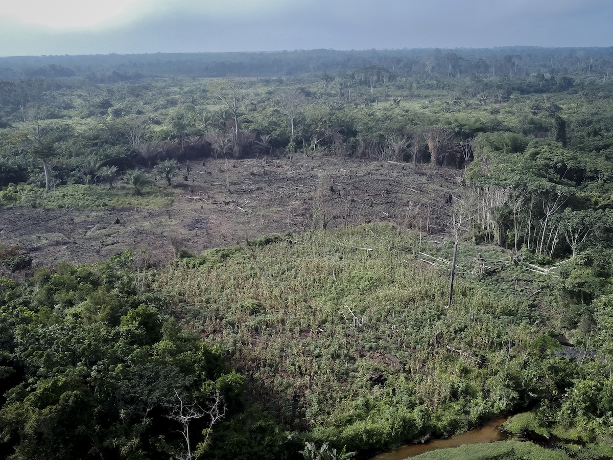 Aerial view of deforestation in the Congo