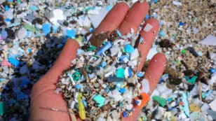 ‘Unprecedented Levels’ of Plastics Entered World’s Oceans After 2005, Study Finds