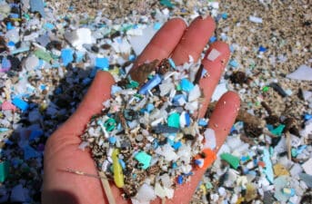 ‘Unprecedented Levels’ of Plastics Entered World’s Oceans After 2005, Study Finds