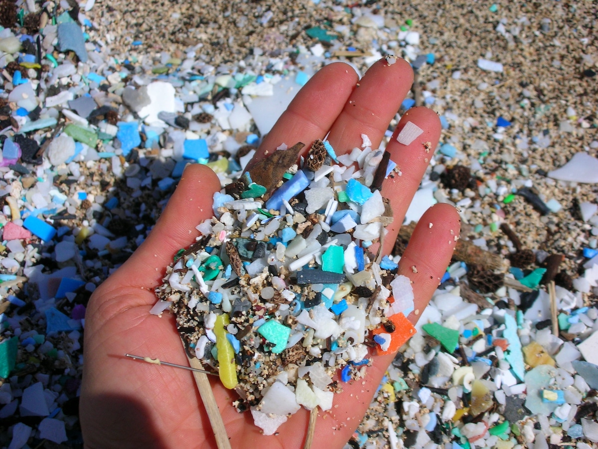 A hand of sand full of plastic particles from the ocean