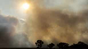 Wildfire Smoke Linked to Ozone Layer Damage