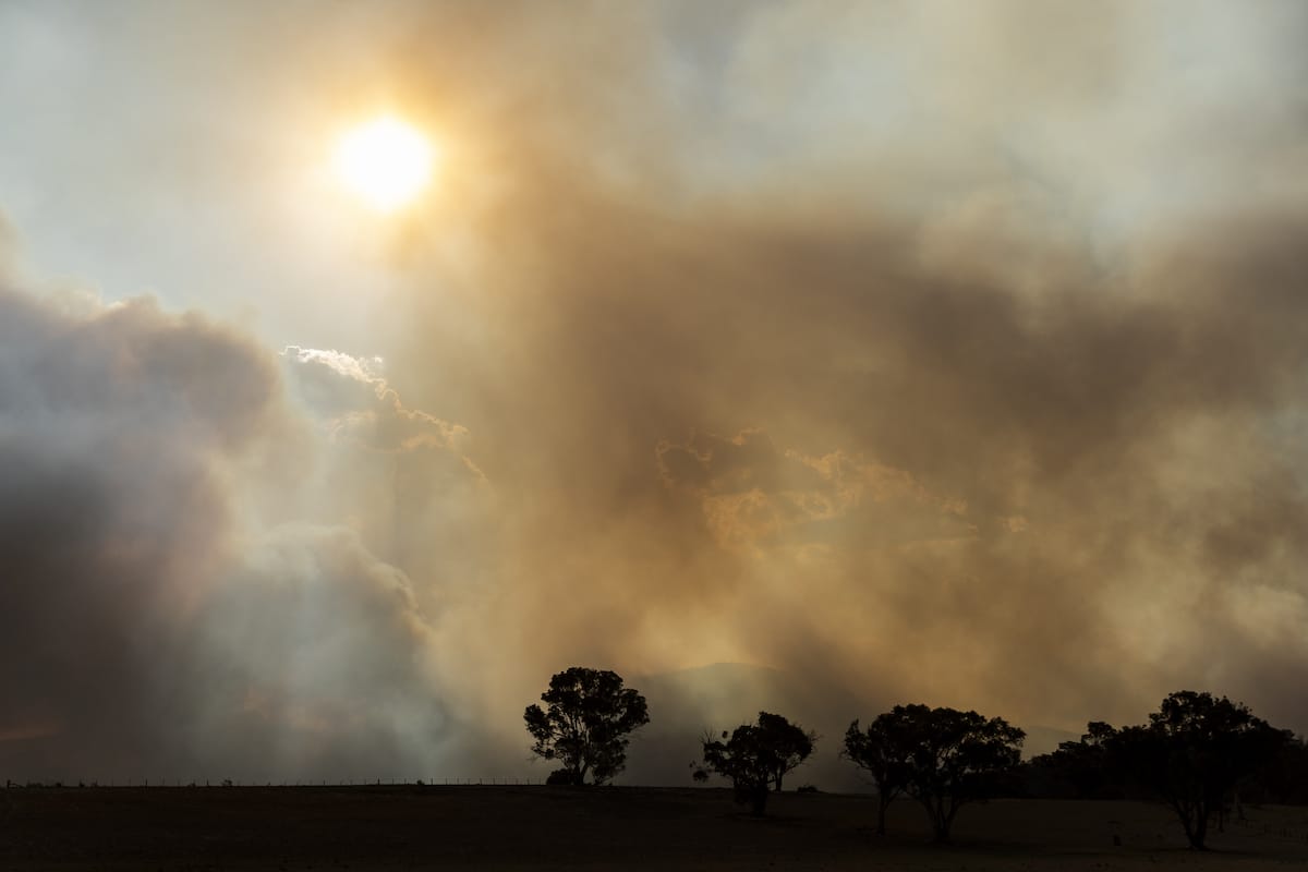 Wildfire smoke from the Clear Range Fire in Michelago, Australia in 2020