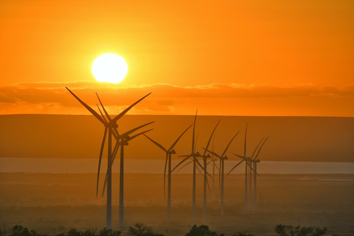 Wind turbines at the Port Augusta Renewable Energy Park in Australia