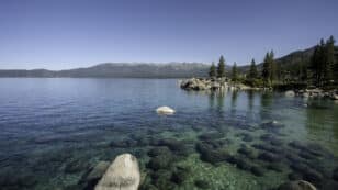 Meet the ‘Natural Clean-Up Crew’ Restoring Lake Tahoe’s Clarity
