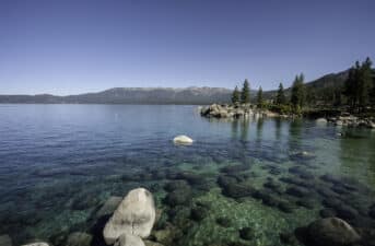 Meet the ‘Natural Clean-Up Crew’ Restoring Lake Tahoe’s Clarity