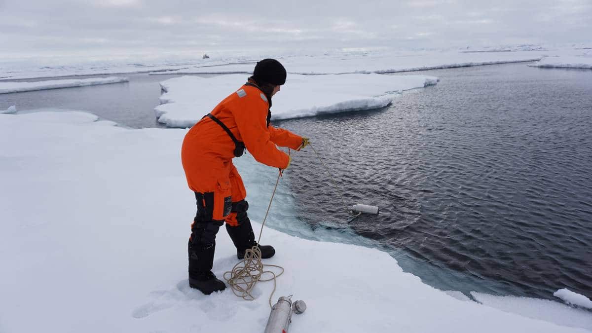 Biologist Melanie Bergmann takes a water sample from Arctic seawater next to ice floes.