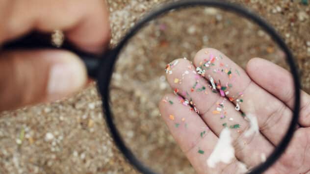 Microplastics 101: Everything You Need to Know