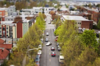 Washington State Establishes Collaborative for Tree Equity