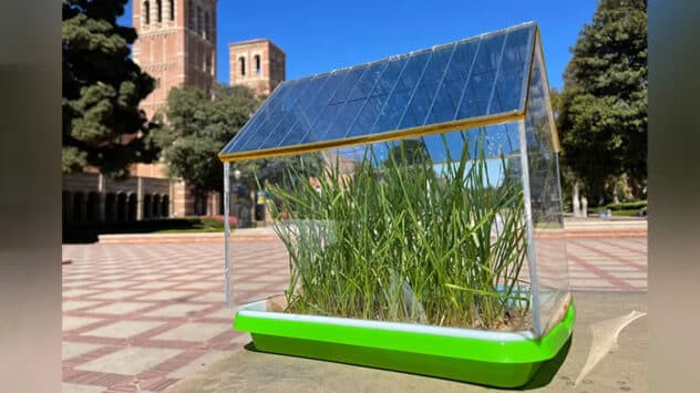Scientists Develop Semi-Transparent Solar-Powered Roof for Greenhouses