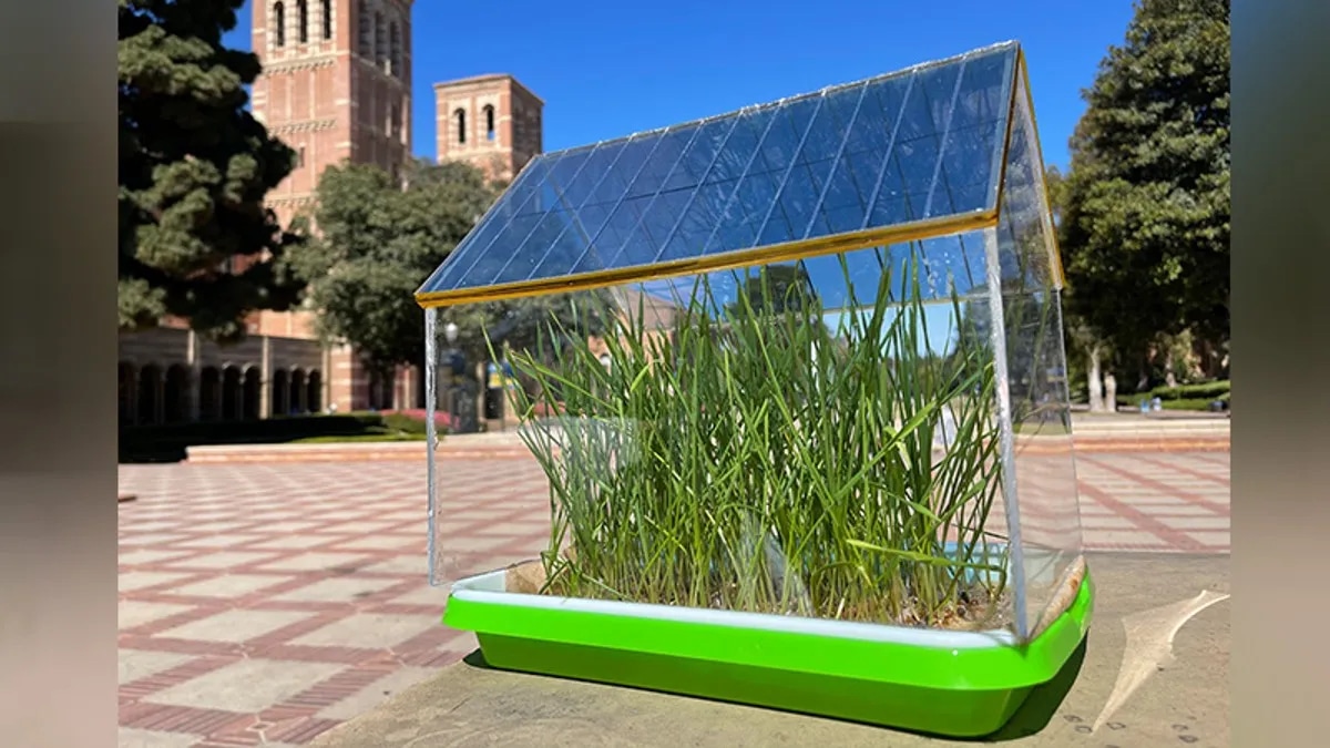 UCLA scientists designed a semi-transparent solar greenhouse roof