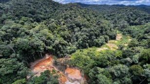 Amazon Deforestation Drops 64% in Brazil in April