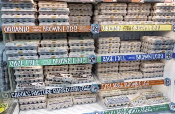 Egg Labels, Decoded