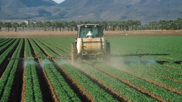 Testing Finds Toxic ‘Forever Chemicals’ in Common U.S. Food Pesticides