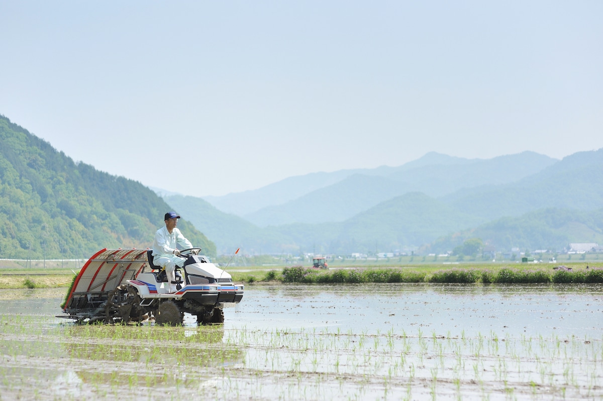 A farmer drives a rice-planting machine in Toyooka, Hyogo, Japan